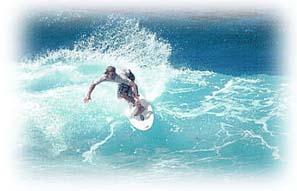 surfer2.jpg (17449 octets)